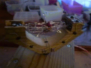 gifs_0101.gif