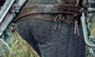 geralt.png
