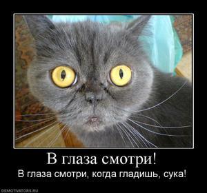 149857_v-glaza-smotri.thumbnail.jpg