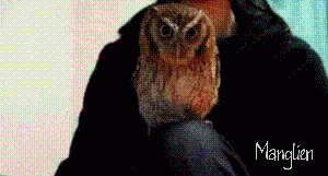 af125d045837.gif