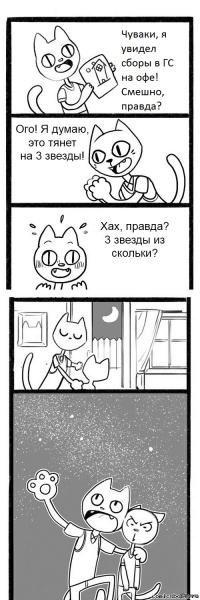 кот.jpg