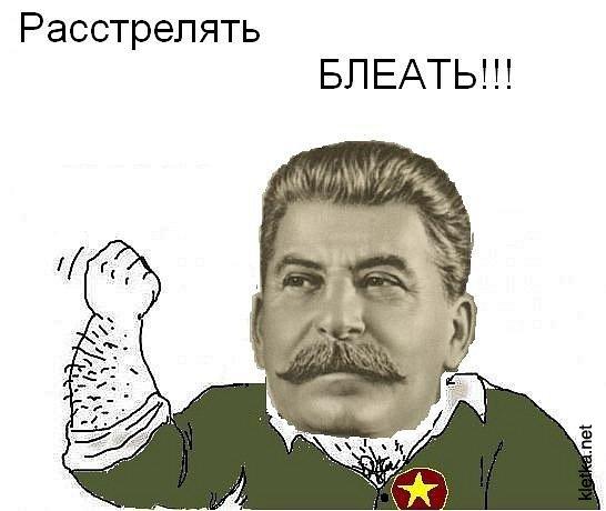 5bdb34a17e06.jpg