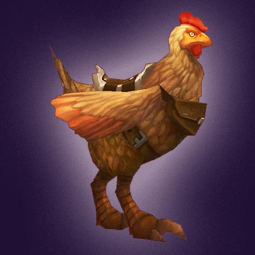 pollo.jpg
