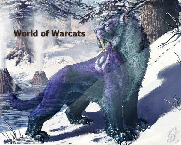mUc3FWA_k7o.jpg