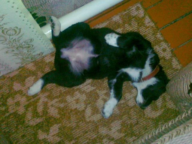 07022011085.jpg