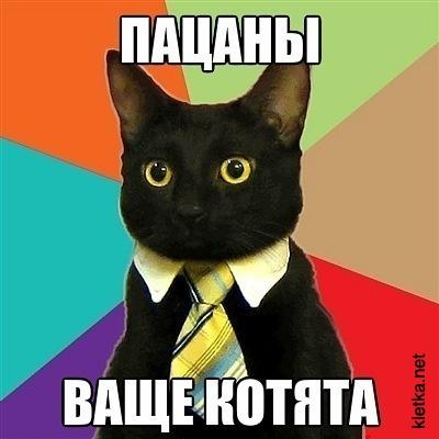 1319494598_pacany-vashe-kotyata.jpg