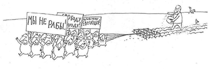 ���� �������� �������, ���������