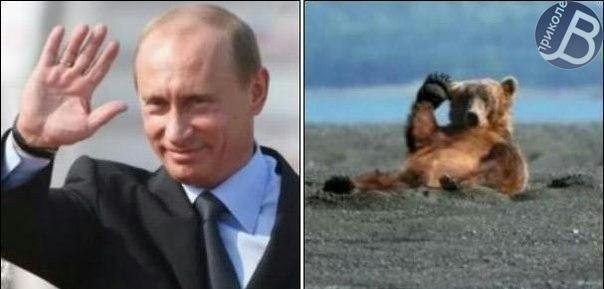 nvynC9oVk9c.jpg