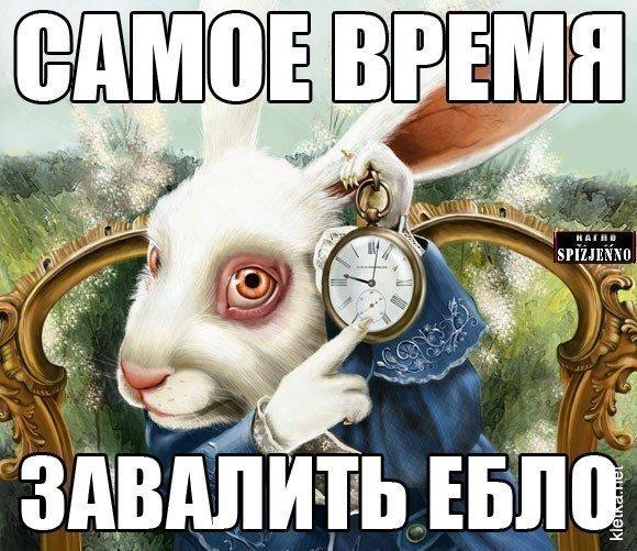 1384948224_samoe-bremy-savalit-eblo.jpg