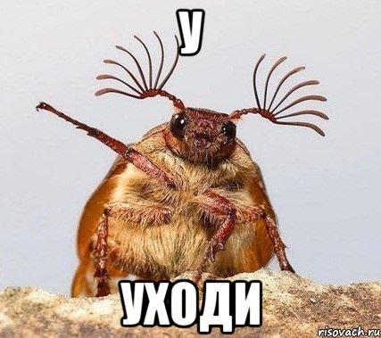 u-uhodi_27590806_orig_.jpeg