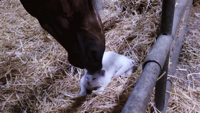 doc2000016796_291069662.gif