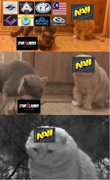 DWE.jpg