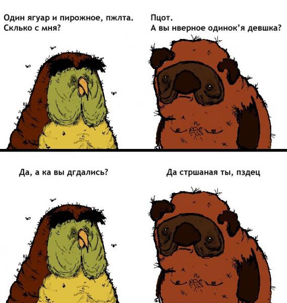 70564.jpeg