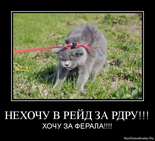image_4435d40c1720eee749b36e97f65f83fc.jpg
