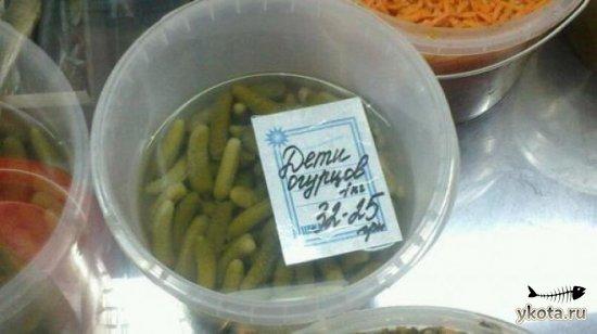 1334909027_funny-notes-37.jpg
