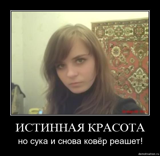 0ke6xn3awqj4.jpg