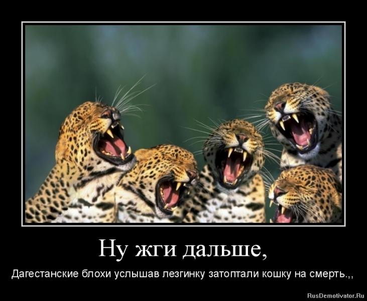 1319341560-nu-zhgi-dalshe.jpg