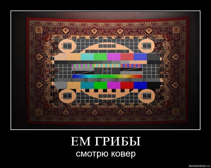 смешные-демотиваторы-3650.jpeg