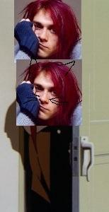 abr.jpg