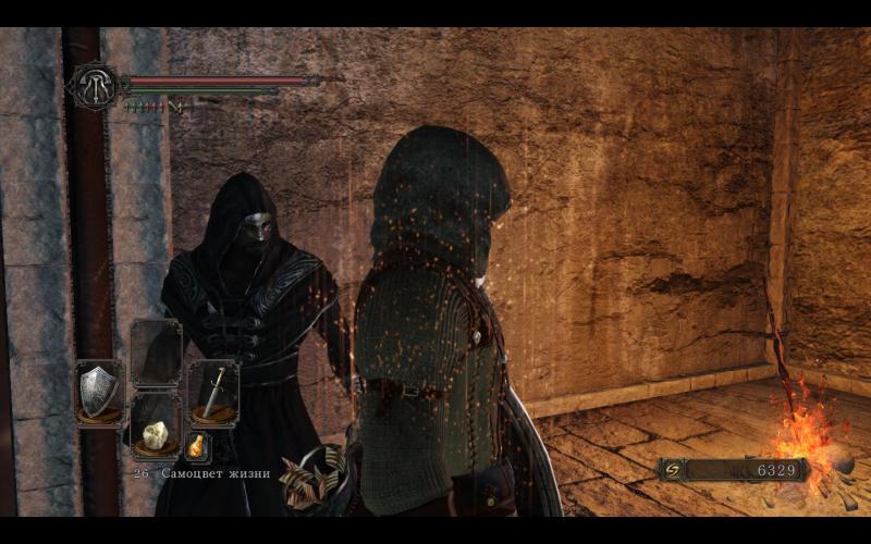 DarkSoulsII 2014-05-03 13-53-04-34.jpg