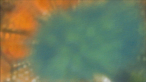 0_075642001360836819.gif