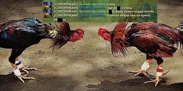 DWE.jpg