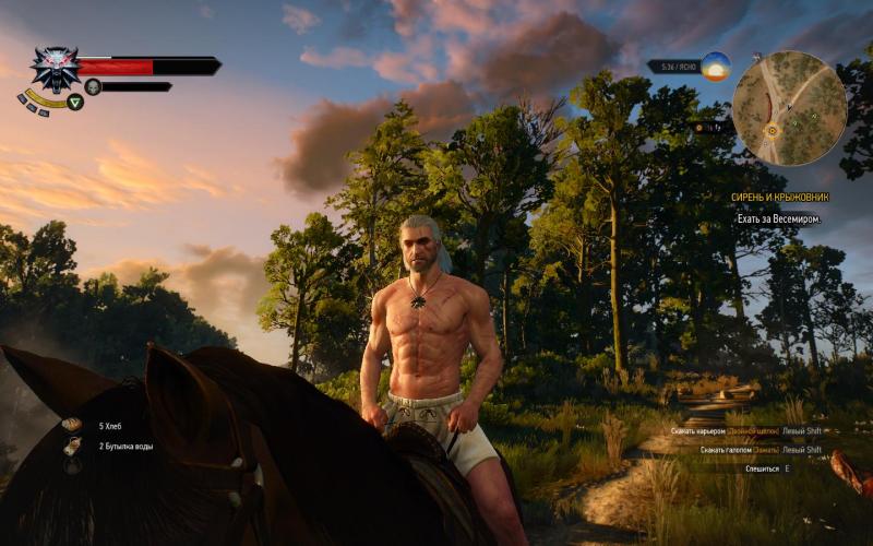 witcher3 2015-05-19 23-49-33-54.jpg