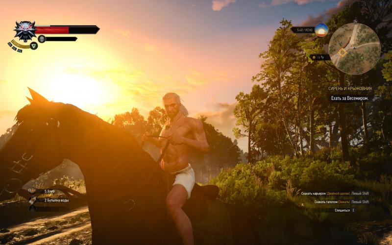 witcher3 2015-05-19 23-49-48-10.jpg