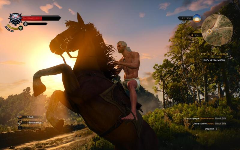 witcher3 2015-05-19 23-49-39-39.jpg