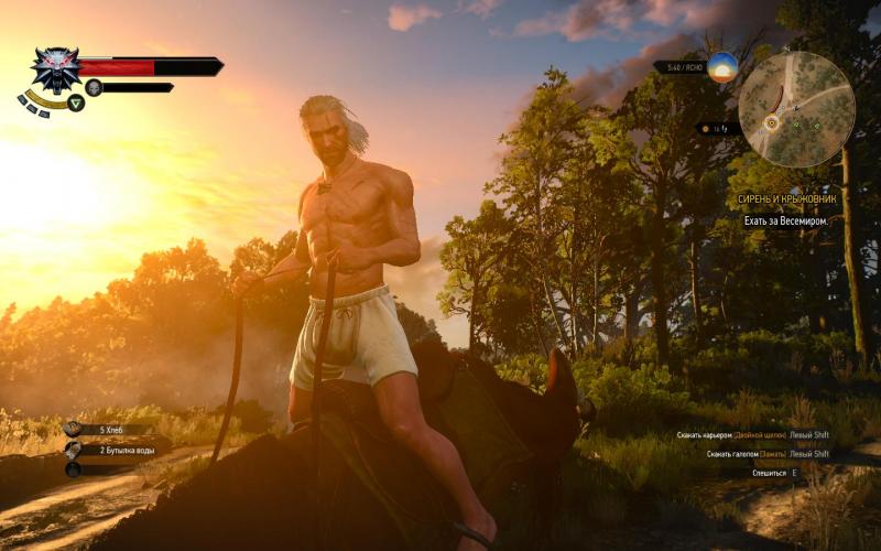 witcher3 2015-05-19 23-49-48-46.jpg