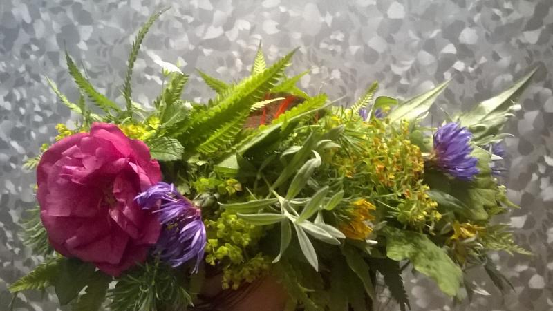 WP_20150623_004.jpg