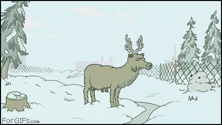 1316933071_gif-14.gif