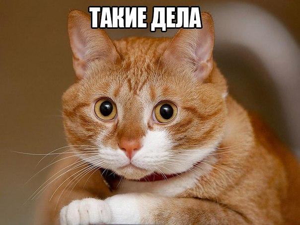 FuS80SeBhFM.jpg