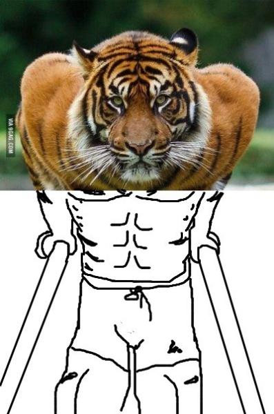 tiger jock tutorial.jpg