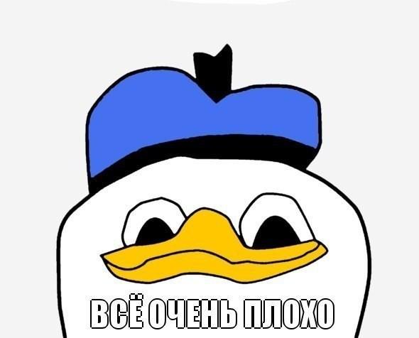 QKaqv_h222c.jpeg