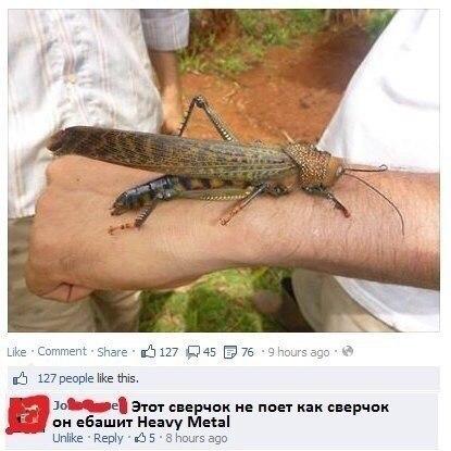DVCEMoy94aA.jpg