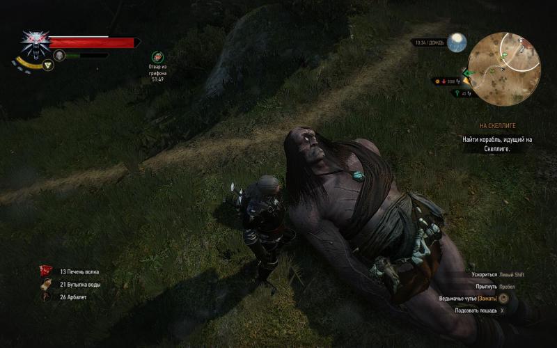 witcher3 2015-08-16 22-06-24-63.jpg