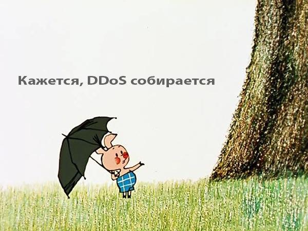 ddos-duran-винни-пух-689151.jpeg