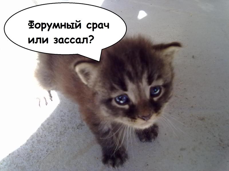 лшеен.jpg
