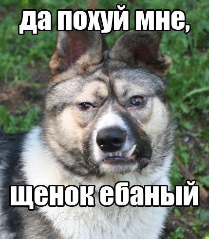 YON7MJiICgA.jpg