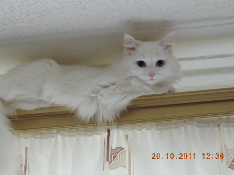 DSCN0075.JPG