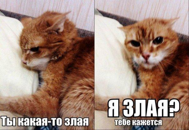 XTekuo1-EYs.jpg