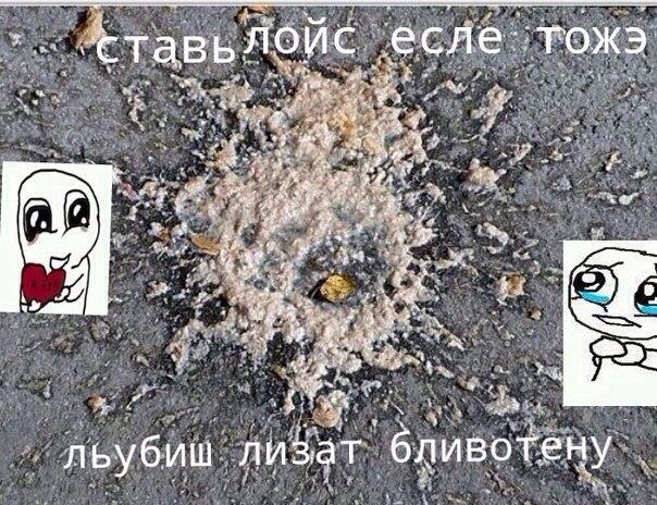 TZYPbcAPph8.jpg