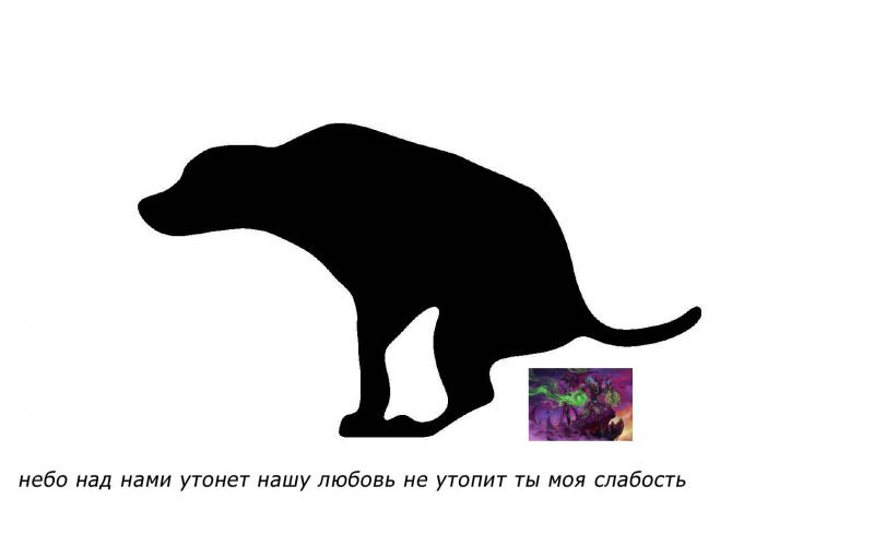 собачка.jpg