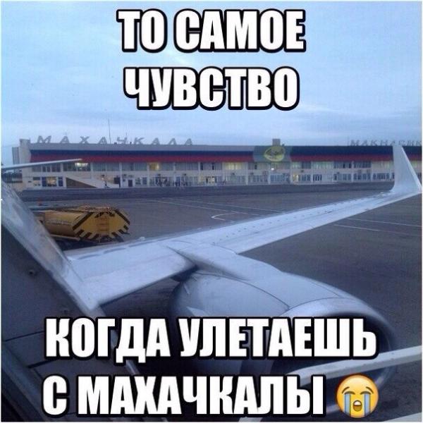 Y8OD6kHUTfM.jpg