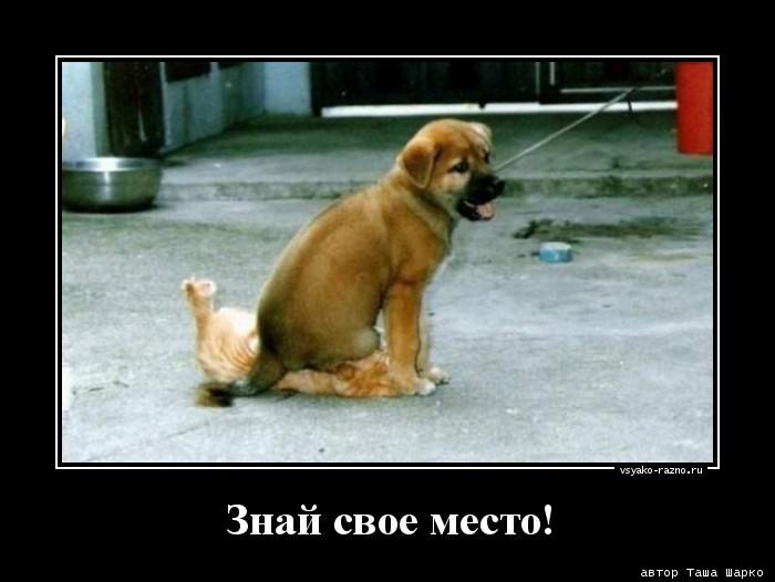 1362571815_Znay-svoe-mesto_vsyako-razno.ru.jpg